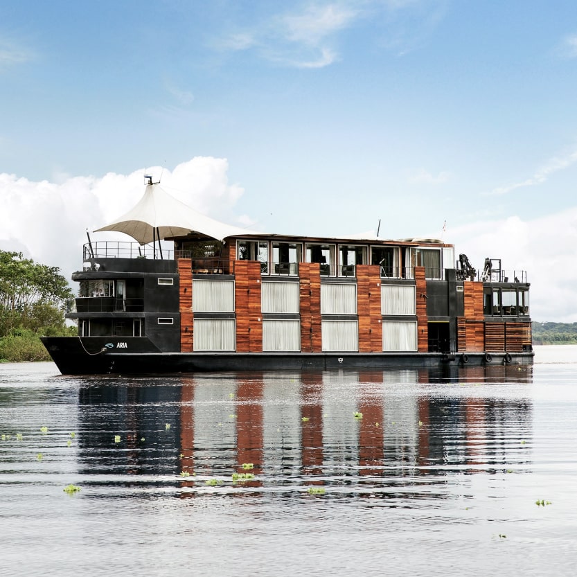 Aria Amazon (Peru)